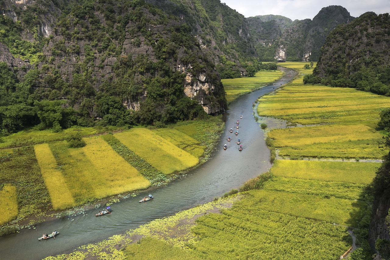 龙马潭区鱼塘店，生态养殖与乡村旅游的和谐融合