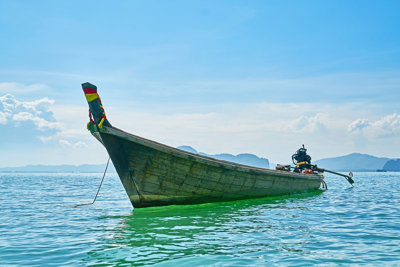 大海豚消费，平衡海洋生态与消费模式的探索之路